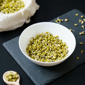 mung bean sprouts in a white bowl placed on dark gray slate board